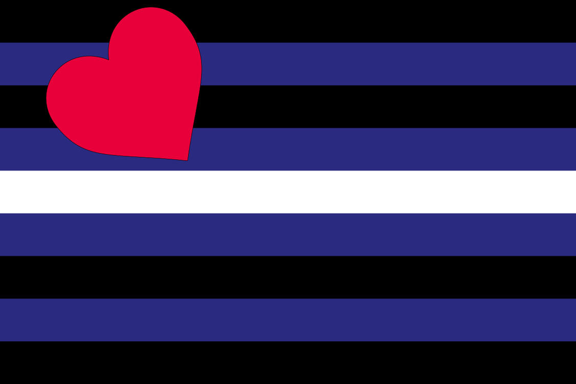 BDSM & Leather Flag